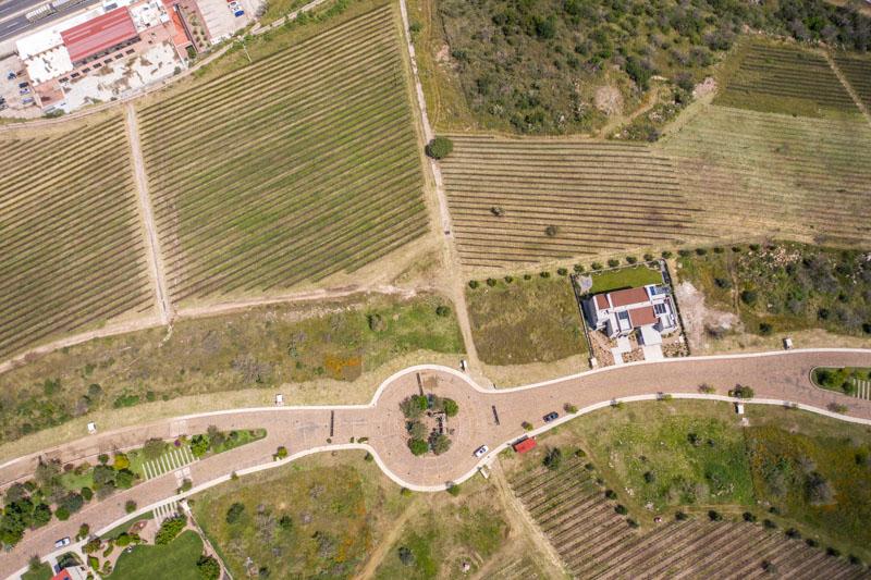 Malbec Lot Image