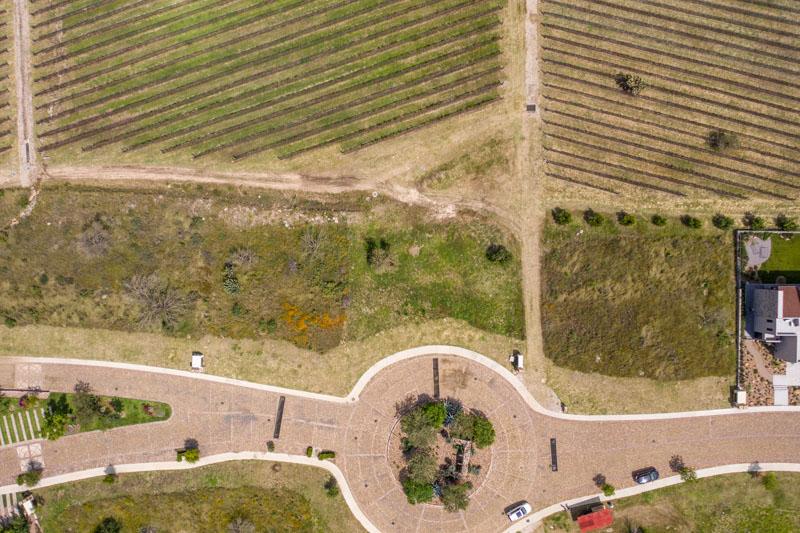 Malbec Lot Image