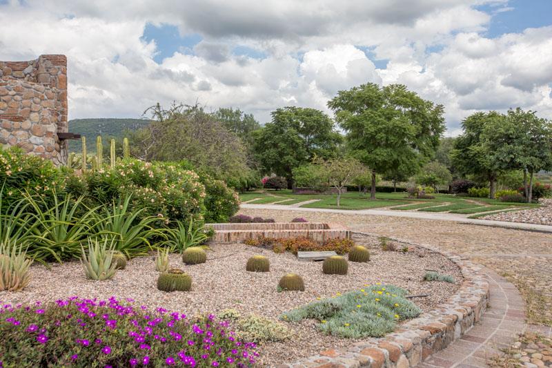 Malbec Lot Image