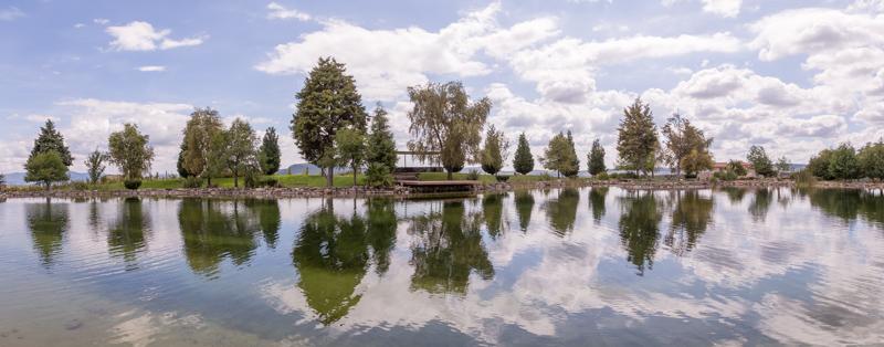 Malbec Lot Image