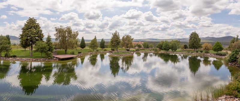 Malbec Lot Image