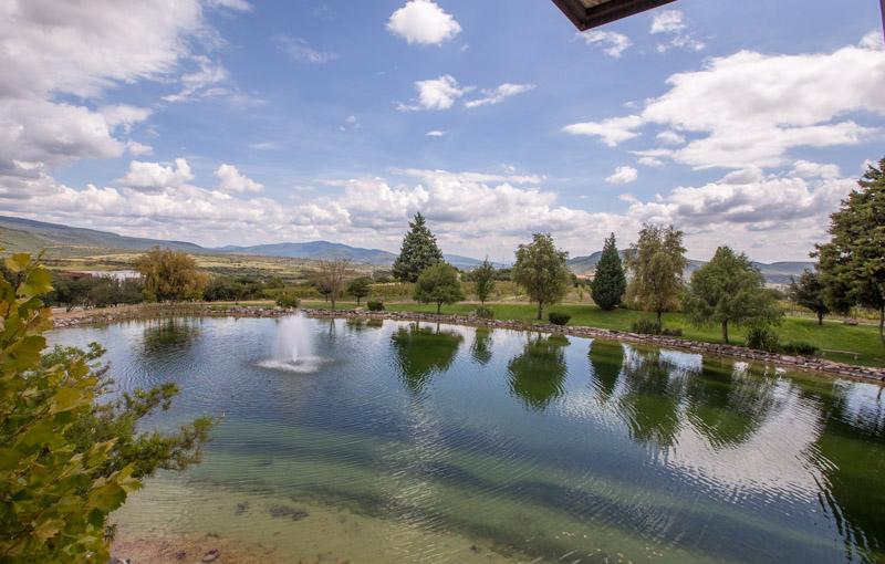 Malbec Lot Image