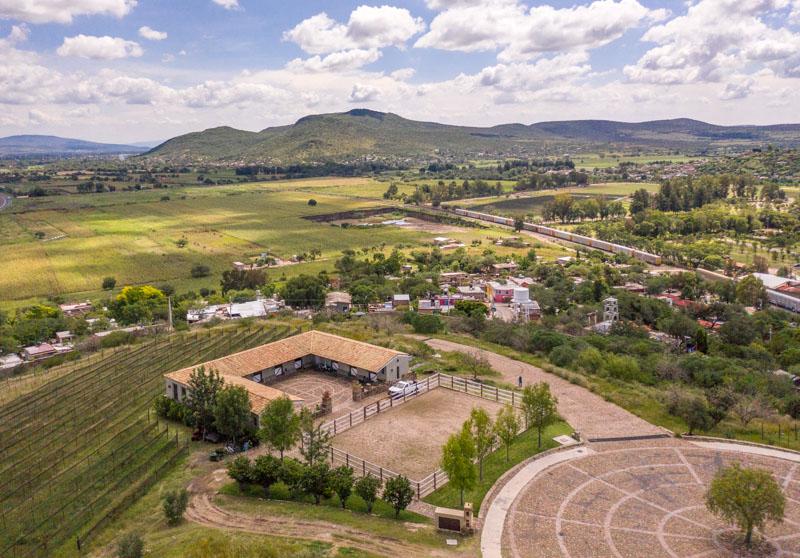 Malbec Lot Image