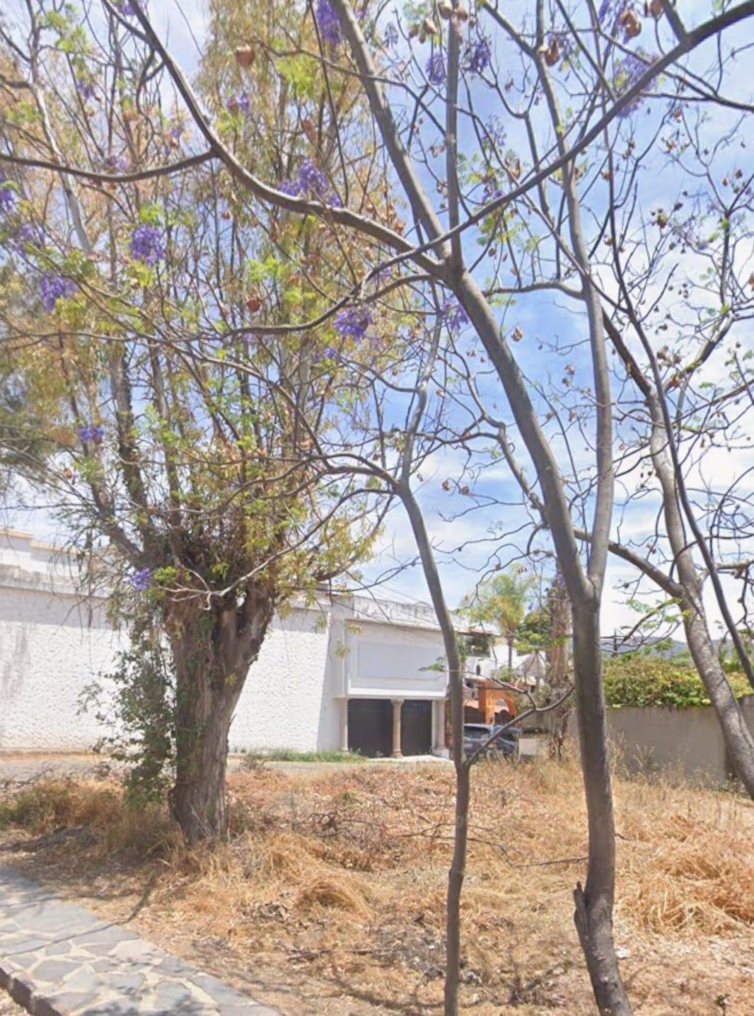 Principal Frailes Lot Image