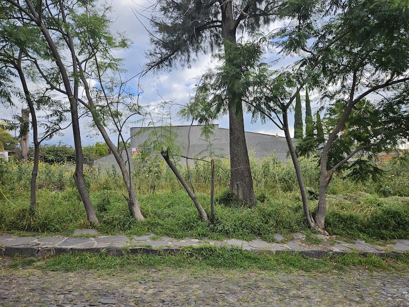 Principal Frailes Lot Image