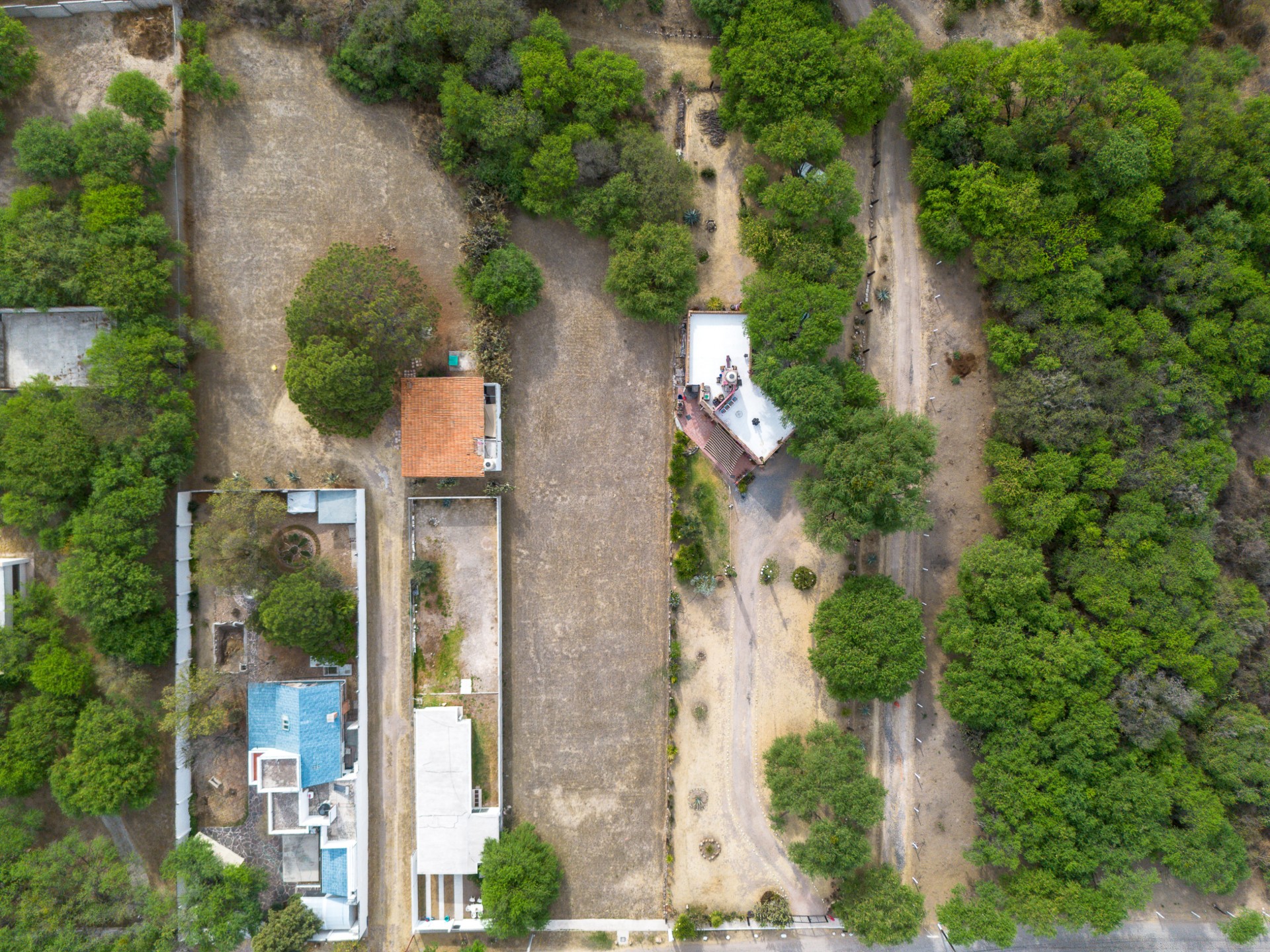 Buenaventura Frailes Lot 1 Image