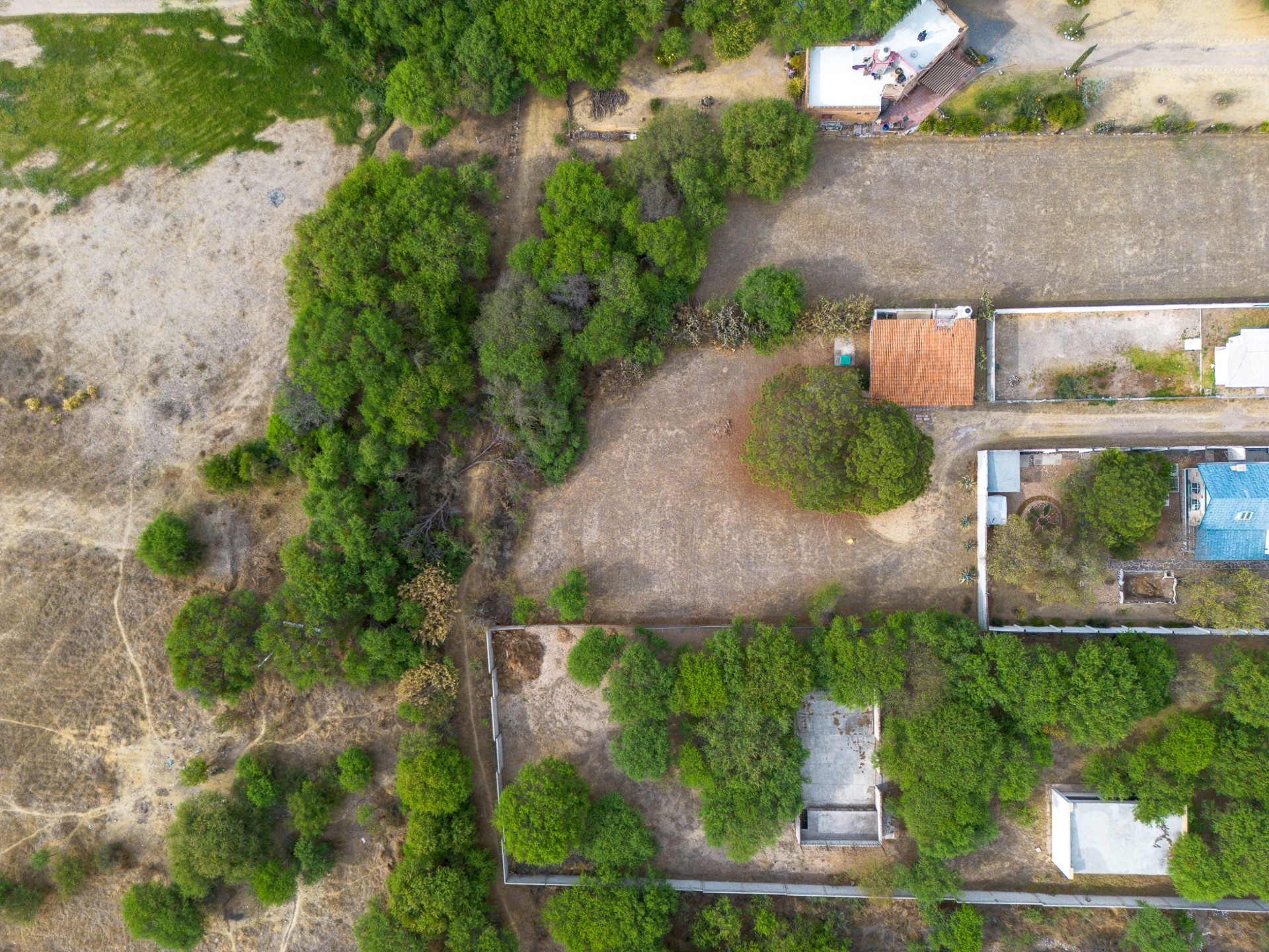 Buenaventura Frailes Lot 1 Image