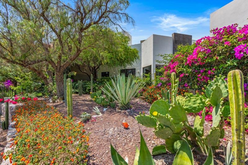Casa Coronado 6 Image