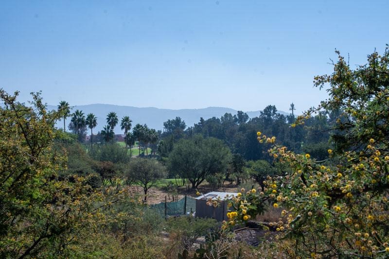 Cordoba Lot Image