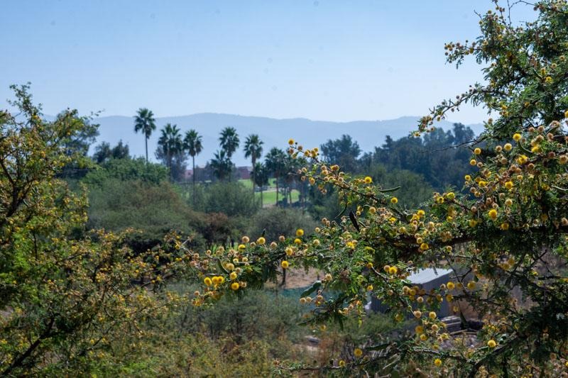 Cordoba Lot Image