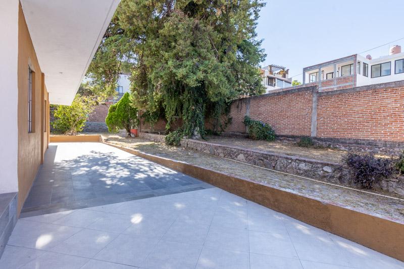 Lote Arbol Image