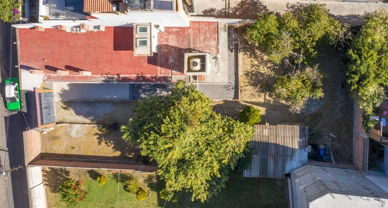 Lote Arbol Image