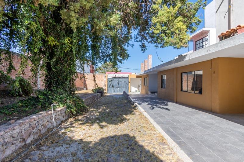 Lote Arbol Image