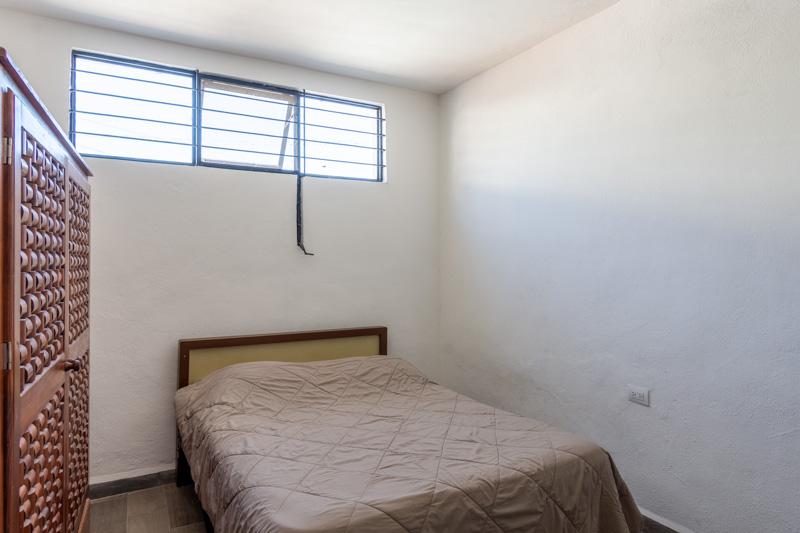 Lote Arbol Image