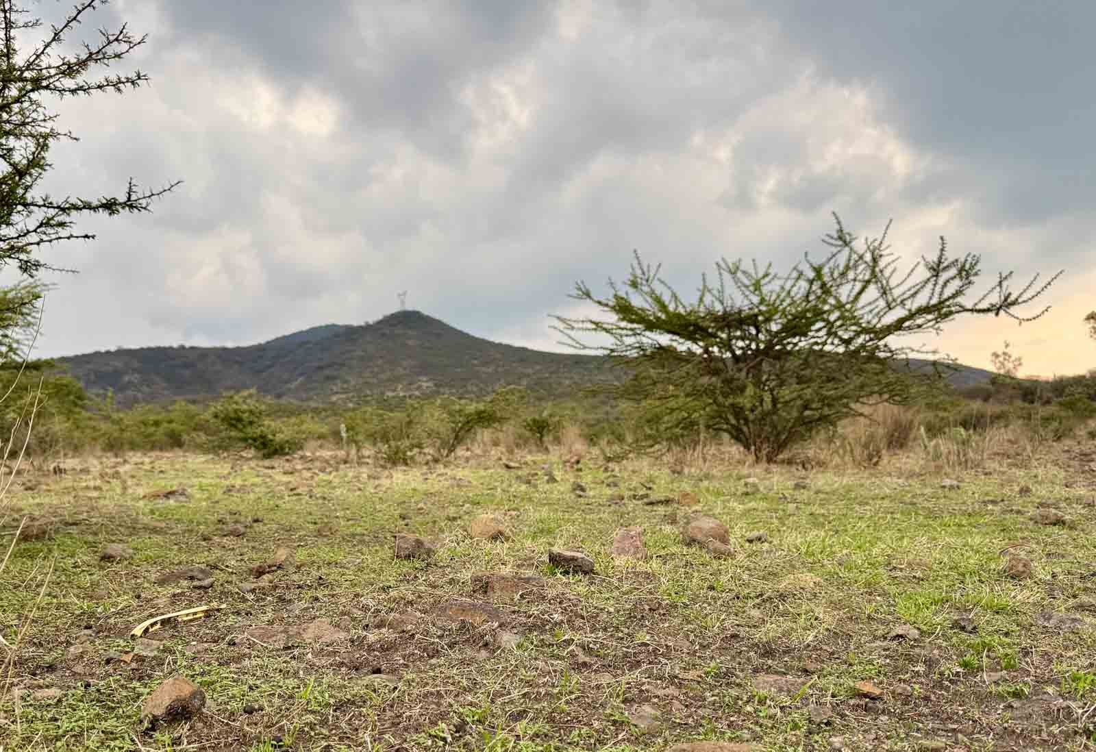 El Tigre Lot Image