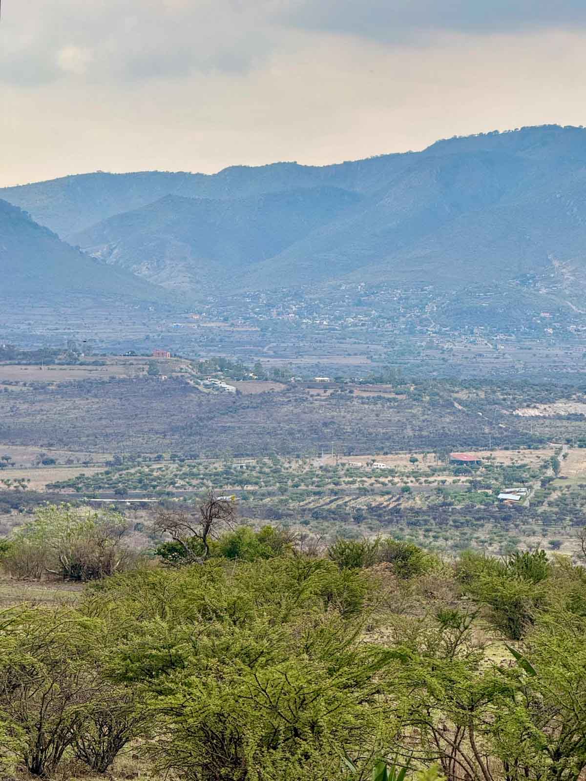 El Tigre Lot Image