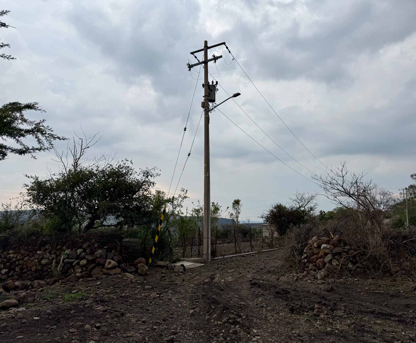 El Tigre Lot Image