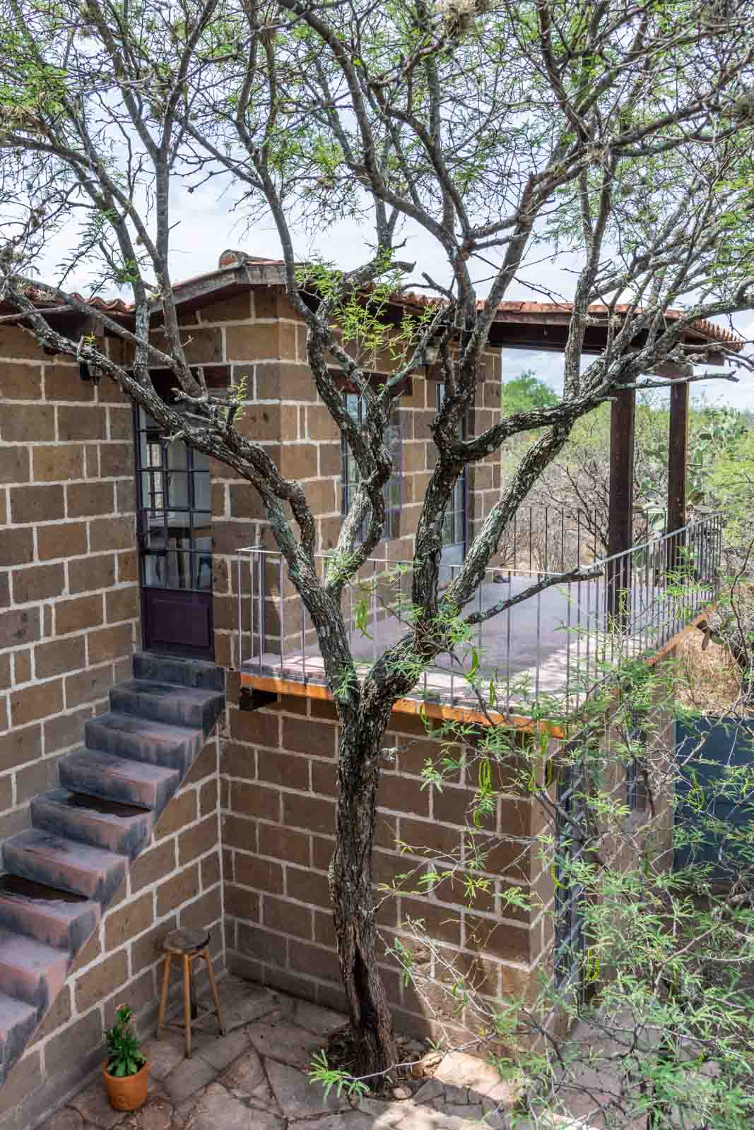 Casa Noah Image