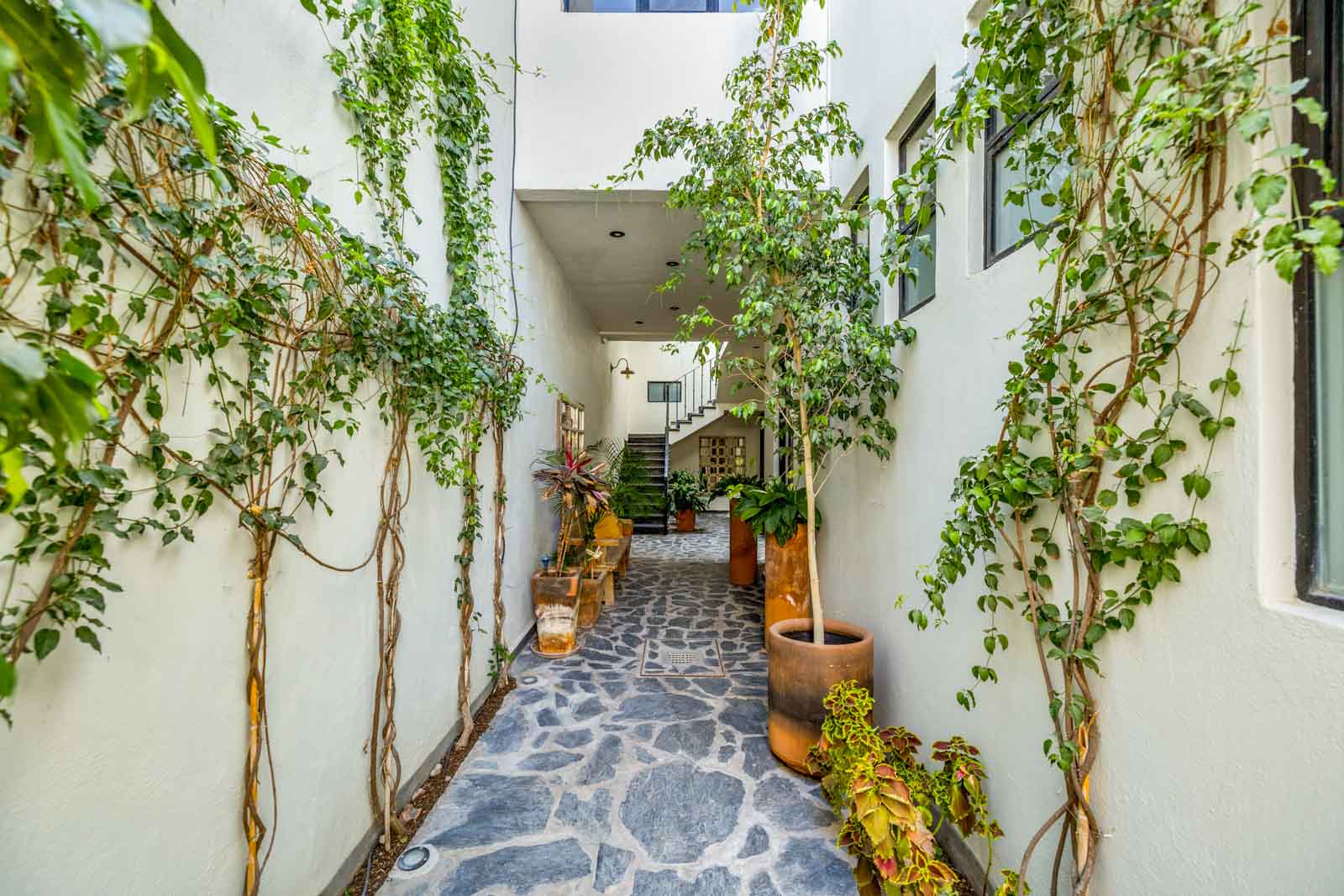 Casa Lila Image