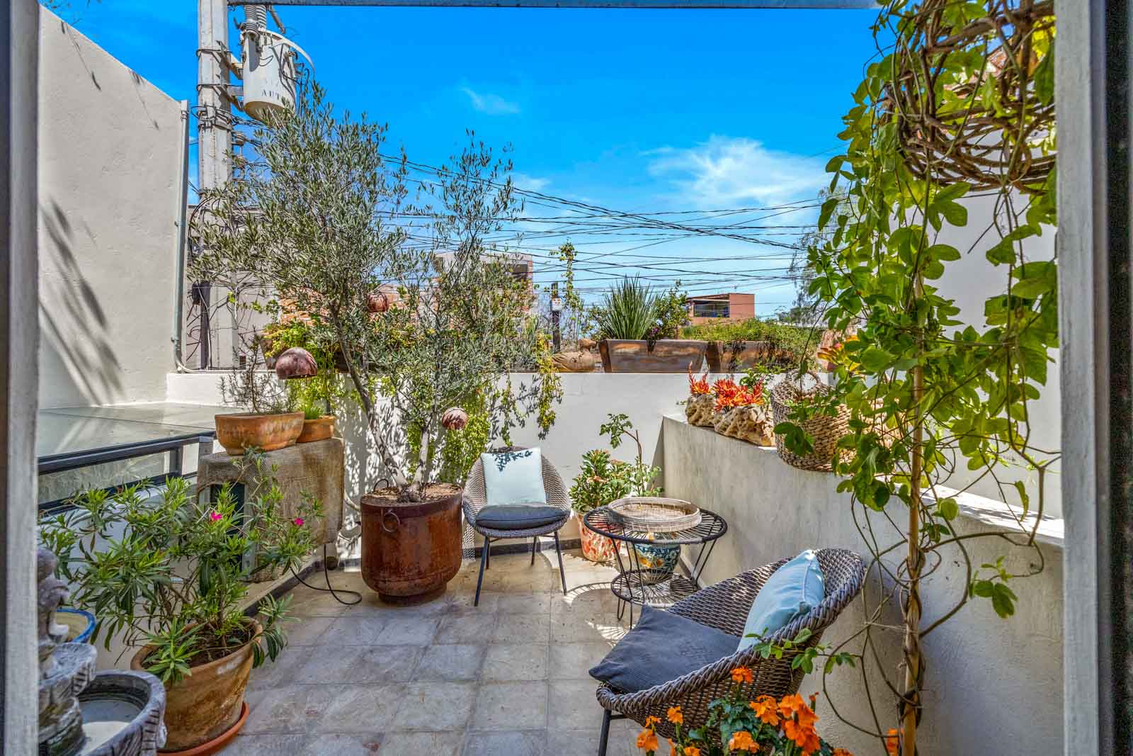 Casa Lila Image