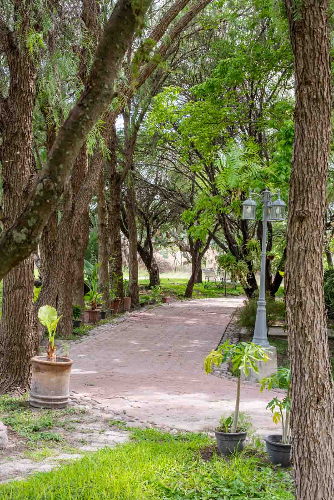 Casa Newell Image