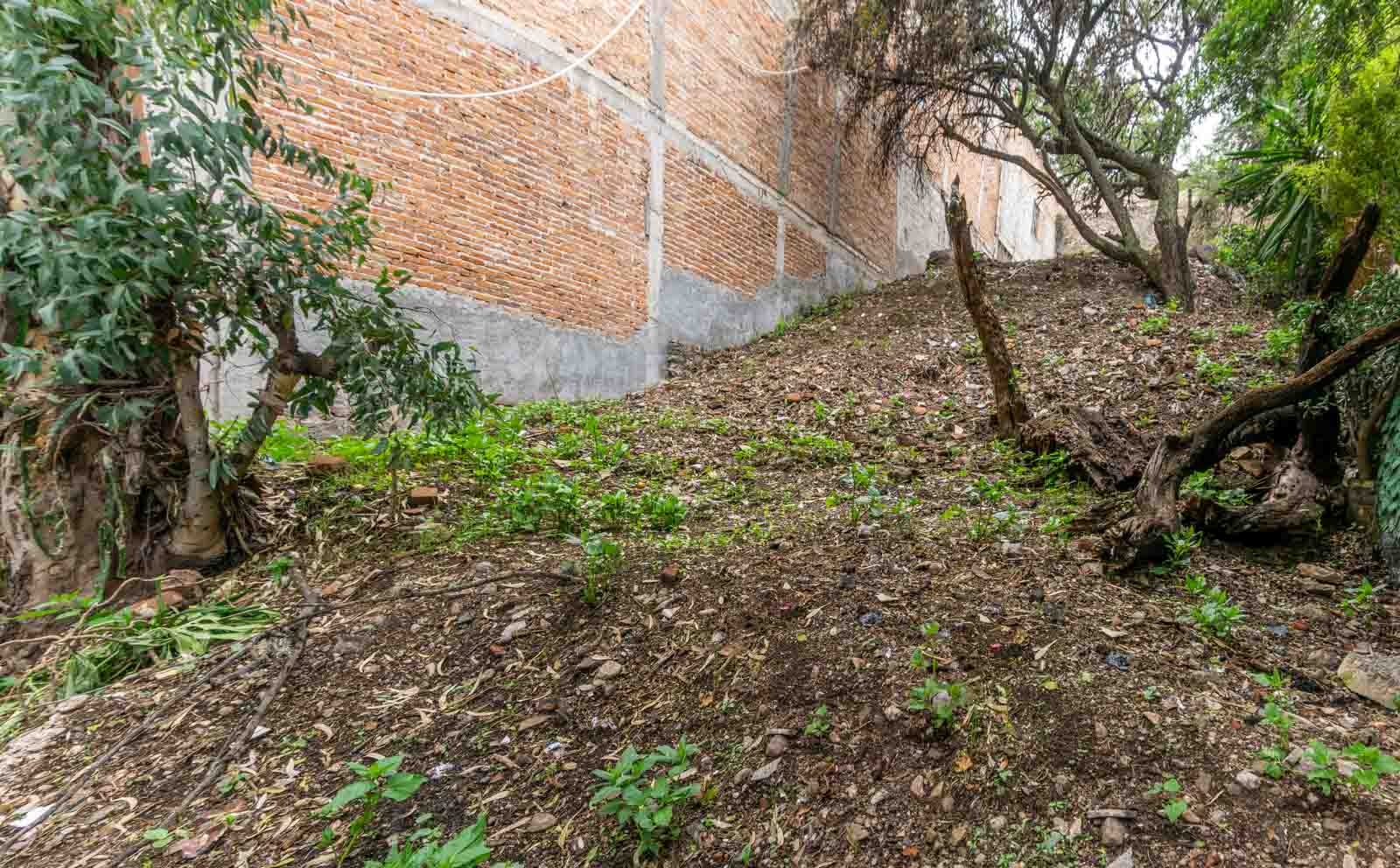 Piedras Chinas Lot Image